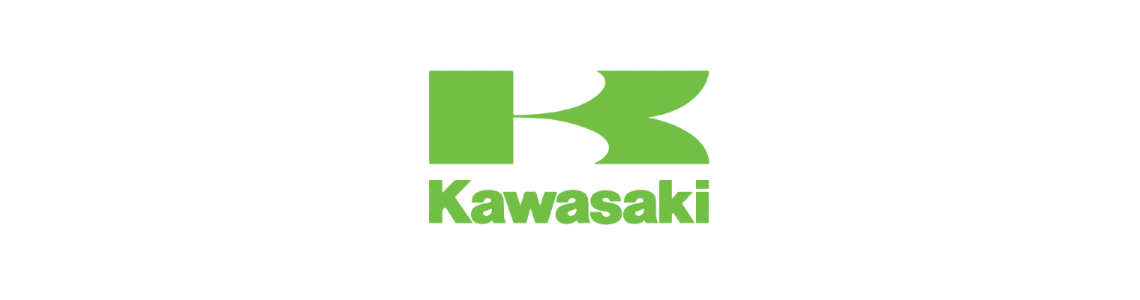 Kawasaki blinkry